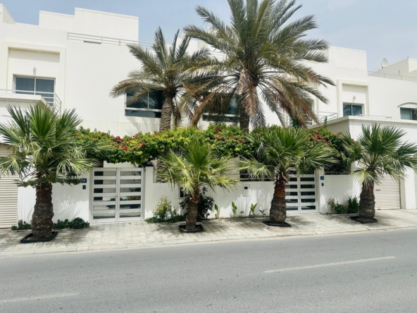 WhatsApp Image 2025 05 06 at 3.28.06 PM 3