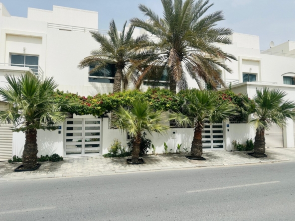 WhatsApp Image 2025 05 06 at 3.28.06 PM 3 1